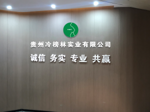 壹创广告 | 以创意聚合品牌力量-融合控股