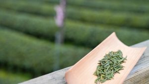 今日谷雨 | 饮一盏春末清茗,敬明媚春光-融合控股